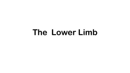 The Lower Limb.