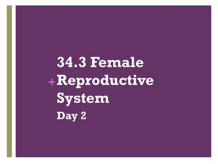 34.3 Female Reproductive System
