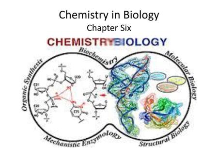 Chemistry in Biology Chapter Six