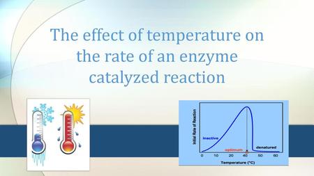 The effect of temperature on the rate of an enzyme catalyzed reaction