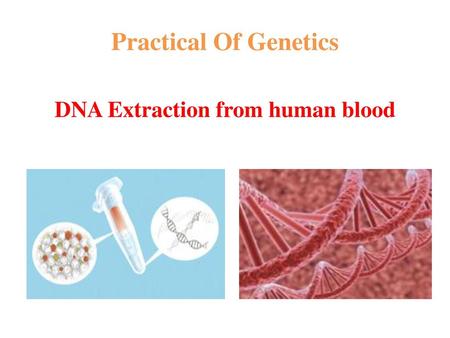 DNA Extraction from human blood