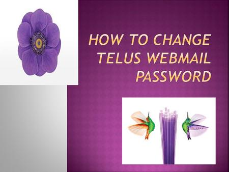  Telus is a Canadian cooperation  Telus is basically an telecommunication company  Telus provide products and services like internet access, voice,