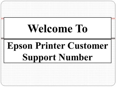 Epson Printer Customer Support 1-800-556-3499 Number