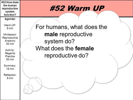#52 How does the human reproductive system function? Agenda: Warm UP: 5 min Minilesson: Reproductive Anatomy 30 min Activity: Regents Practice 30 min Summary: