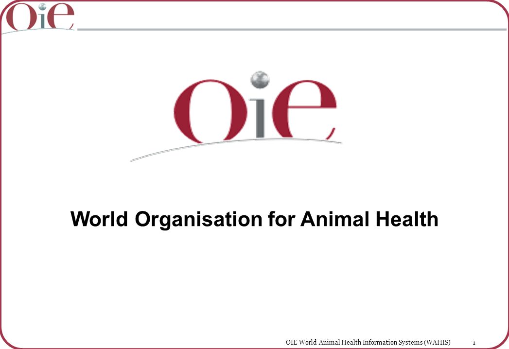 World Organisation for Animal Health - ppt video online download