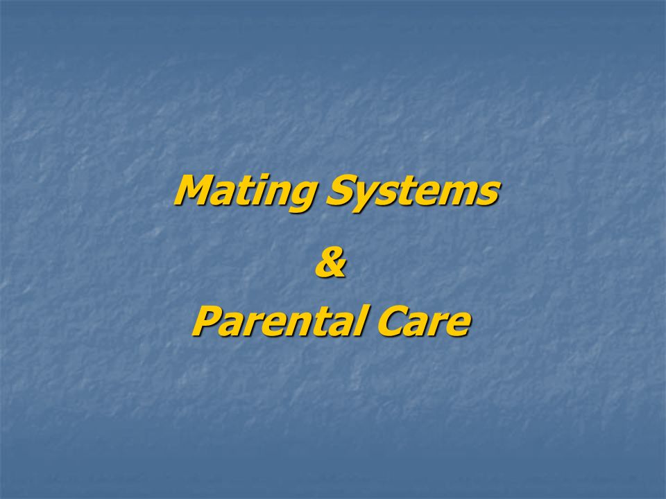 Parental care in fishes ppt hotsell