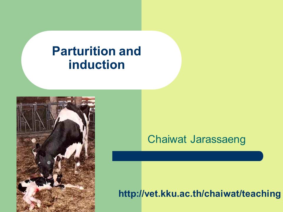 Parturition and induction - ppt video online download