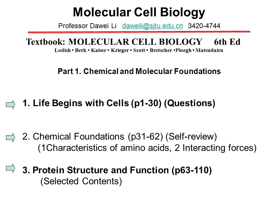 Molecular Cell Biology - ppt video online download