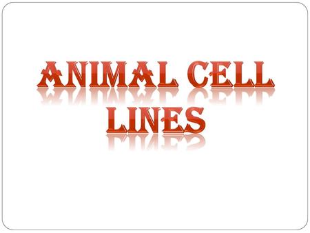 Animal cell lines.