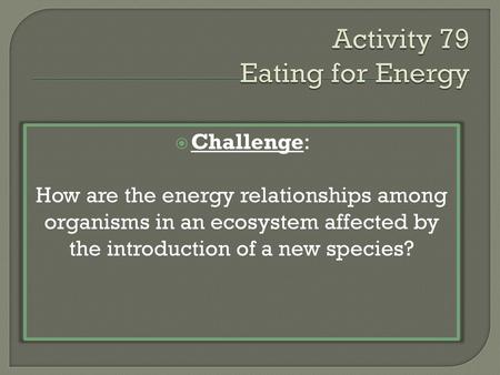 Activity 79 Eating for Energy