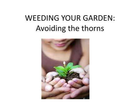WEEDING YOUR GARDEN: Avoiding the thorns