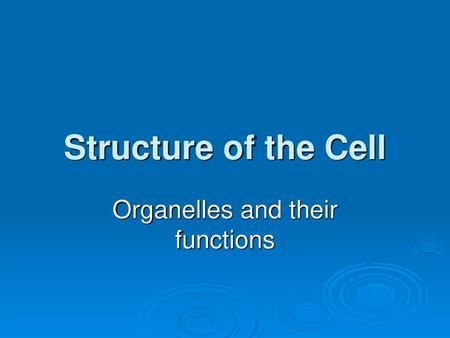 Organelles and their functions