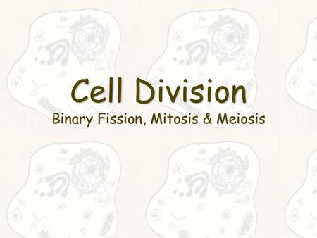 Cell Division Binary Fission, Mitosis & Meiosis