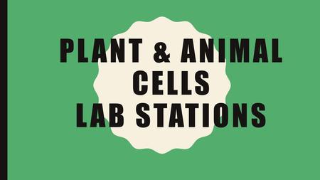 Plant & Animal Cells Lab Stations