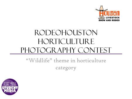 RodeoHouston horticulture photography contest