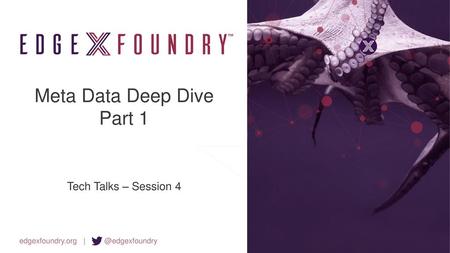 Meta Data Deep Dive Part 1