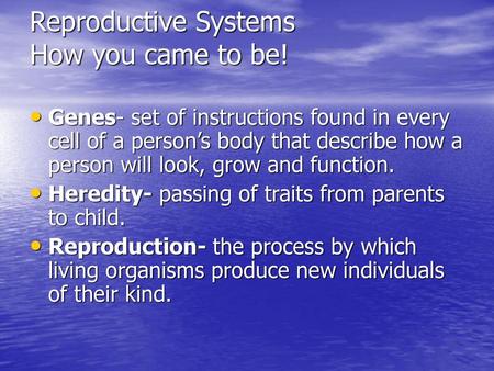 Reproductive Systems How you came to be!
