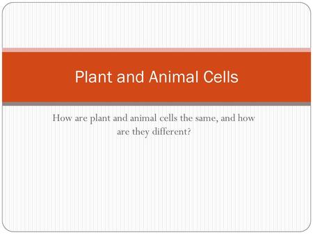How are plant and animal cells the same, and how are they different?