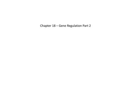 Chapter 18 – Gene Regulation Part 2