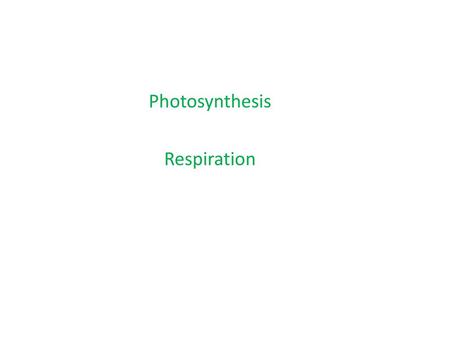 Photosynthesis Respiration
