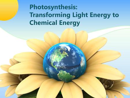Photosynthesis: Transforming Light Energy to Chemical Energy