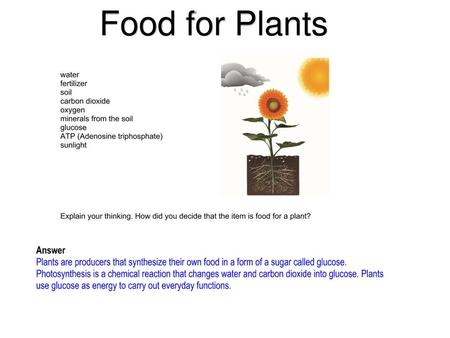 Food for Plants.