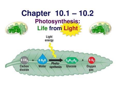 Chapter 10.1 – 10.2 Photosynthesis: Life from Light