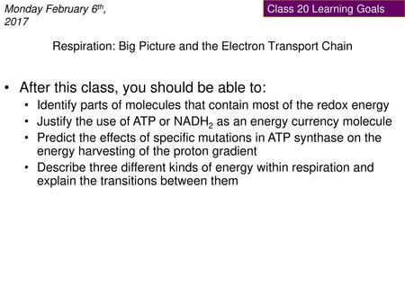 Respiration: Big Picture and the Electron Transport Chain