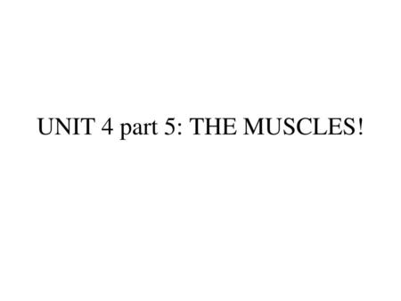 UNIT 4 part 5: THE MUSCLES!.