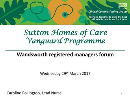 Sutton Homes of Care Vanguard Programme