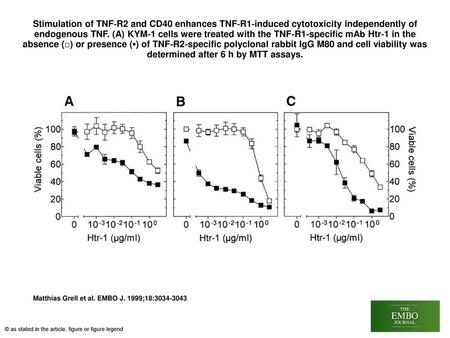 Stimulation of TNF‐R2 and CD40 enhances TNF‐R1‐induced cytotoxicity independently of endogenous TNF. (A) KYM‐1 cells were treated with the TNF‐R1‐specific.