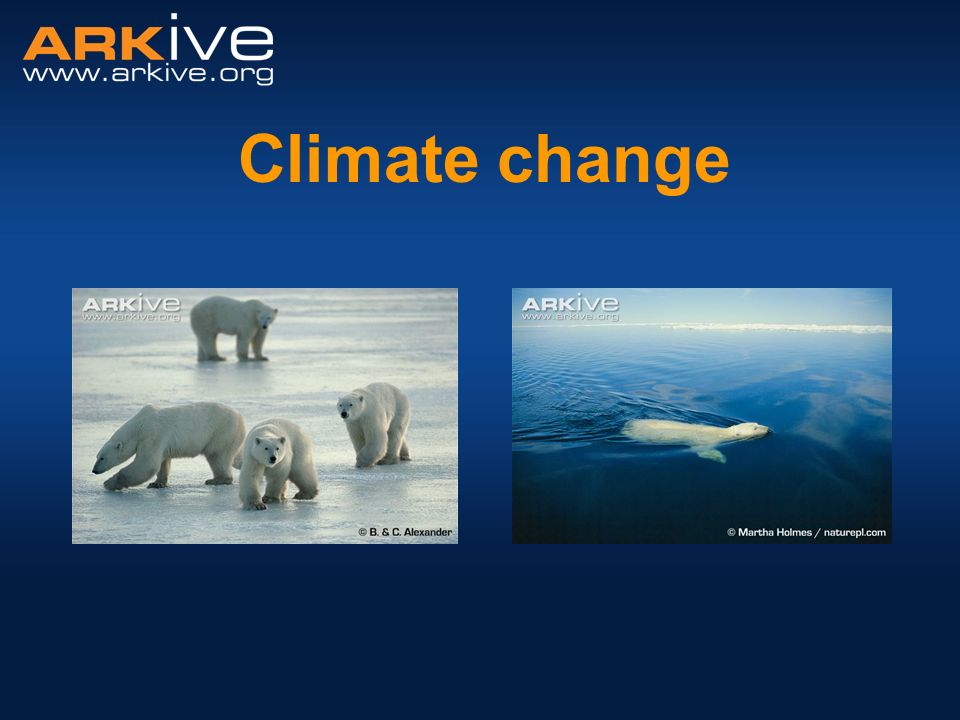 Climate change. - ppt download