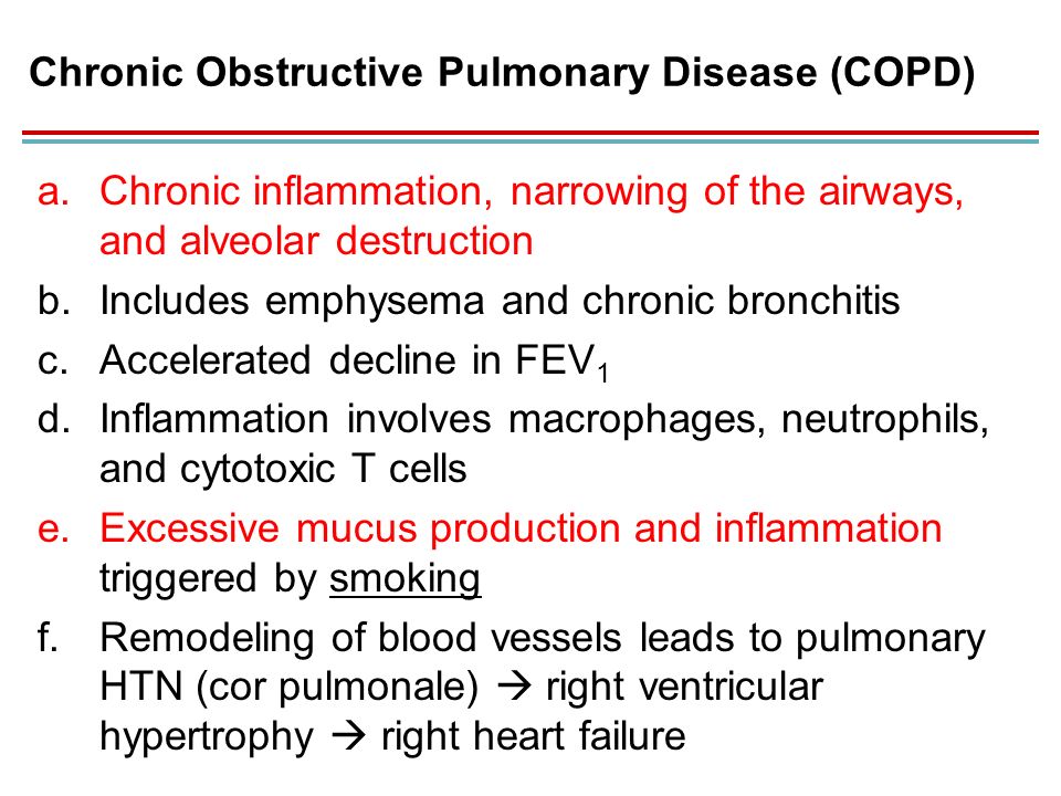 Chapter 16 Respiratory System Part 1 - ppt video online 