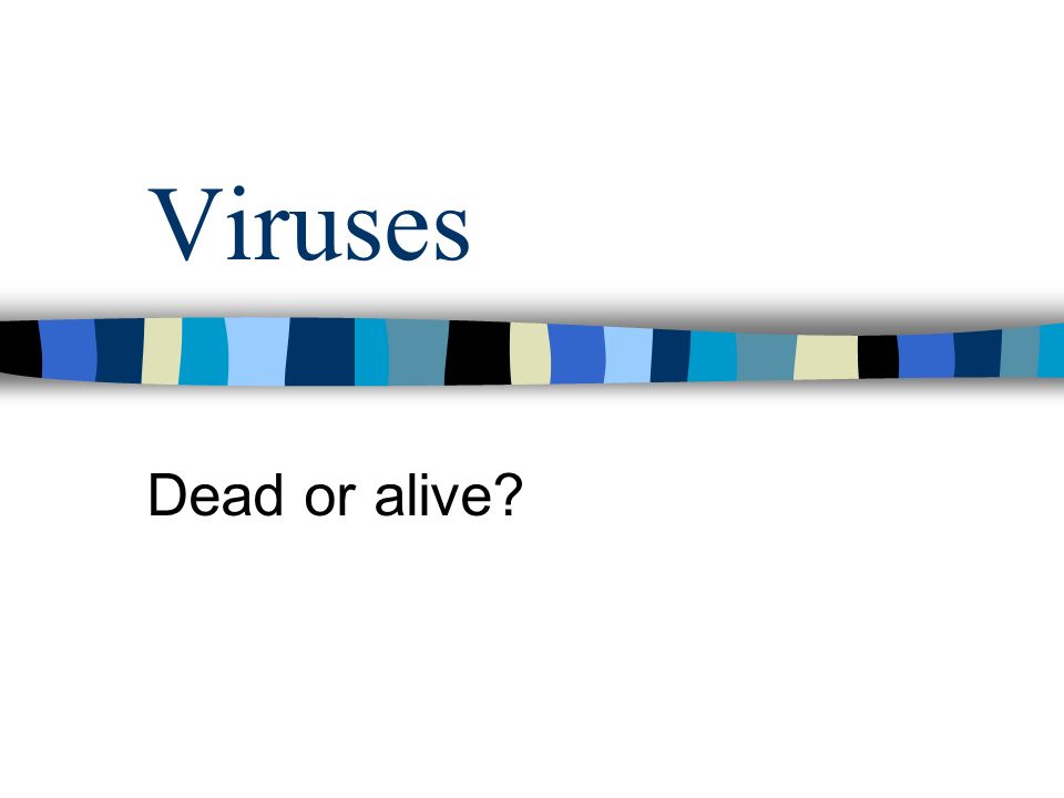 Are viruses dead or alive? (article)