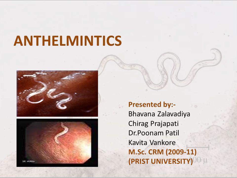 Anthelmintic activity meaning. Simptome de vierme rotunde