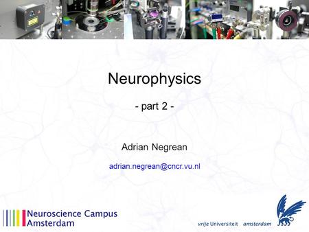 Neurophysics Adrian Negrean - part 2 -