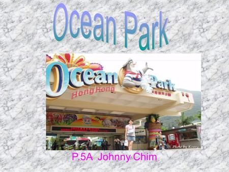 P.5A Johnny Chim. This is the map of Ocean Park These are pandas. They seem to Look! They are enjoy themselves. eating bamboos. They are so cute.