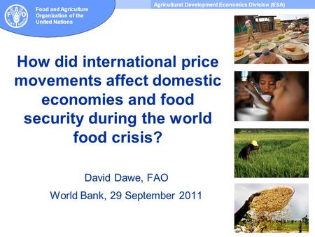 Agricultural Development Economics Division (ESA) Food and Agriculture Organization of the United Nations How did international price movements affect.