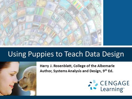 Using Puppies to Teach Data Design