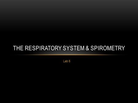 The Respiratory System & Spirometry