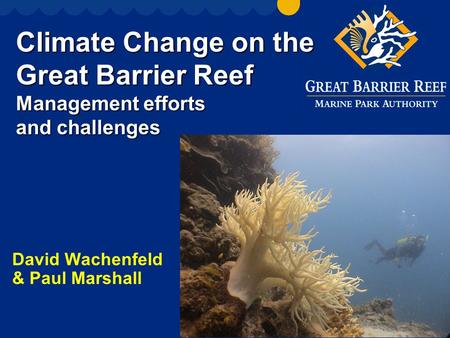 Climate Change on the Great Barrier Reef Management efforts and challenges David Wachenfeld & Paul Marshall.