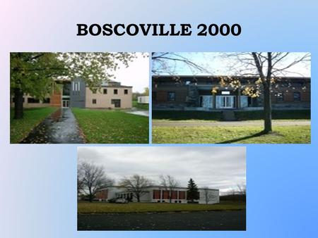 BOSCOVILLE 2000. MAPPING This project was realized in the summer of 2006 A total of 27 youth participated Mapping of youth resources in Rivière- des-Prairies.