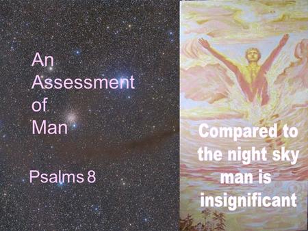 An Assessment of Man Psalms 8. What Are Human Beings? 1.Animal 2.Physico-chemical 3.Creature occupying space & time 4.Diverse life-form 5.Highest life-form.