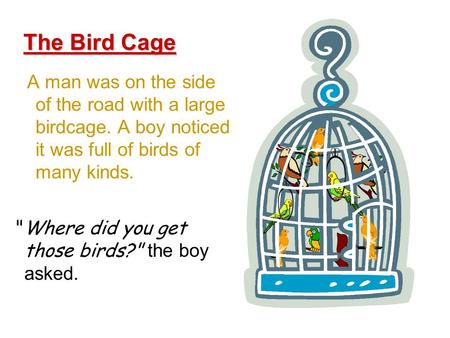 A man was on the side of the road with a large birdcage. A boy noticed it was full of birds of many kinds. The Bird Cage Where did you get those birds?