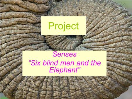 Project Senses Six blind men and the Elephant. Once upon a time there were six blind men. They lived in a town in India. They thought they were very clever.