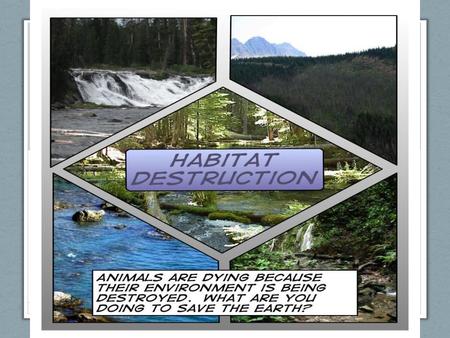 Agenda Introduction Effects – How Does Habitat Loss Affect Mother Nature? Causes – Contributing Factors To Habitat Loss Definition : Process & Example.