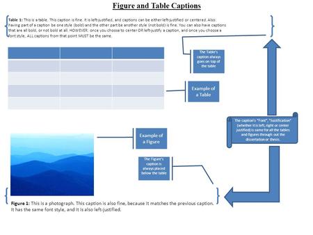 Figure and Table Captions