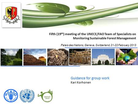 Fifth (19 th ) meeting of the UNECE/FAO Team of Specialists on Monitoring Sustainable Forest Management Palais des Nations, Geneva, Switzerland, 21-22.