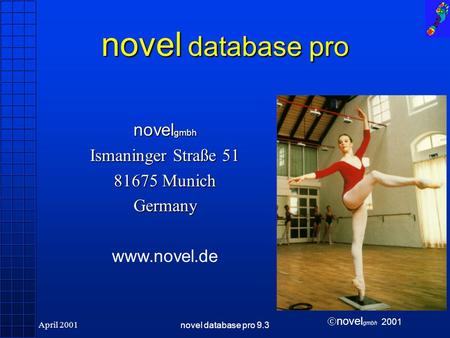 Novel gmbh 2001 April 2001novel database pro 9.3 novel database pro novel gmbh Ismaninger Straße 51 81675 Munich Germany www.novel.de.