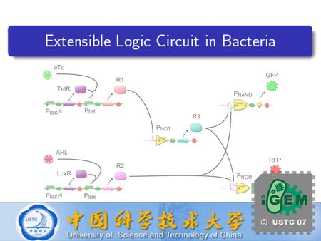USTC iGEM 2007 Extensible Logic Circuit in Bacteria Aims How to implement elementary computations? How to form a more complex one?